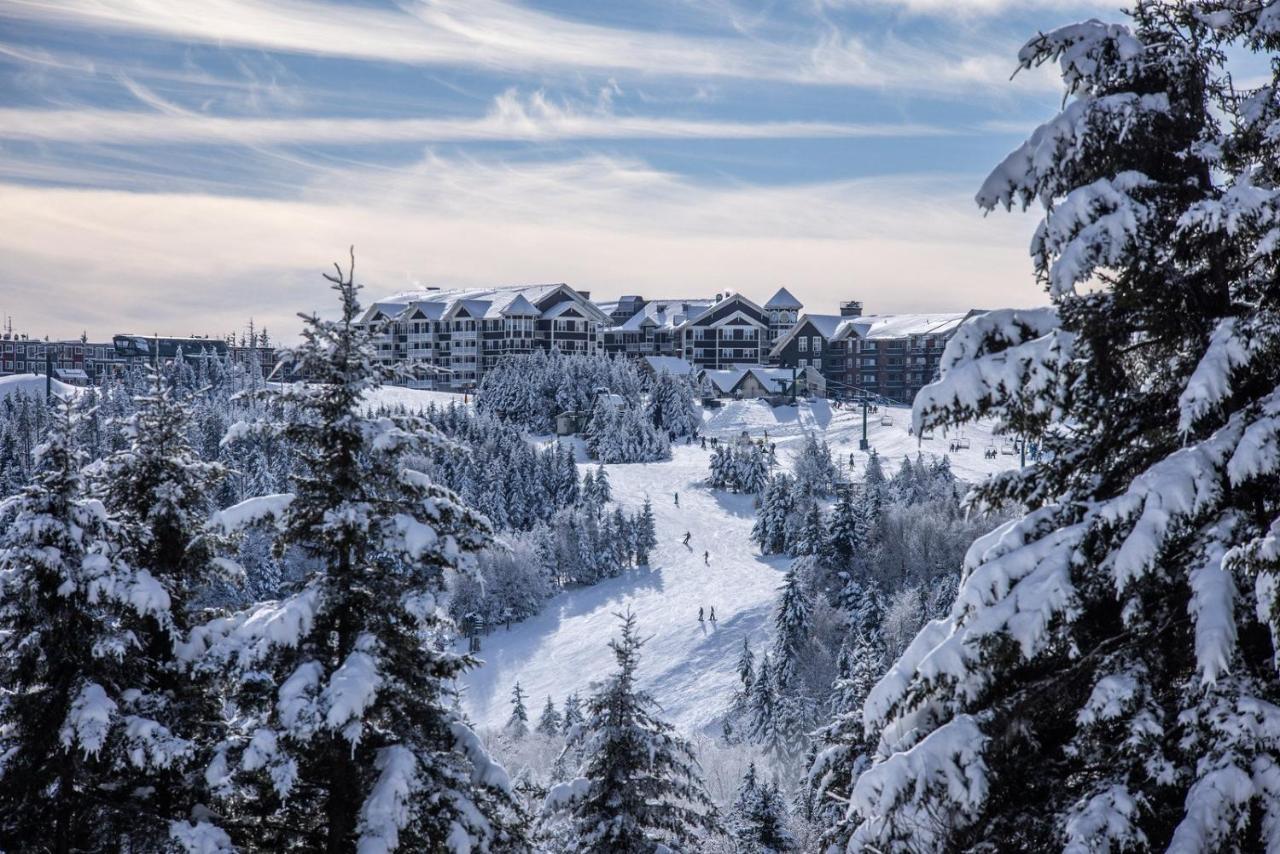 Ski In/Out Snowshoe Εξωτερικό φωτογραφία